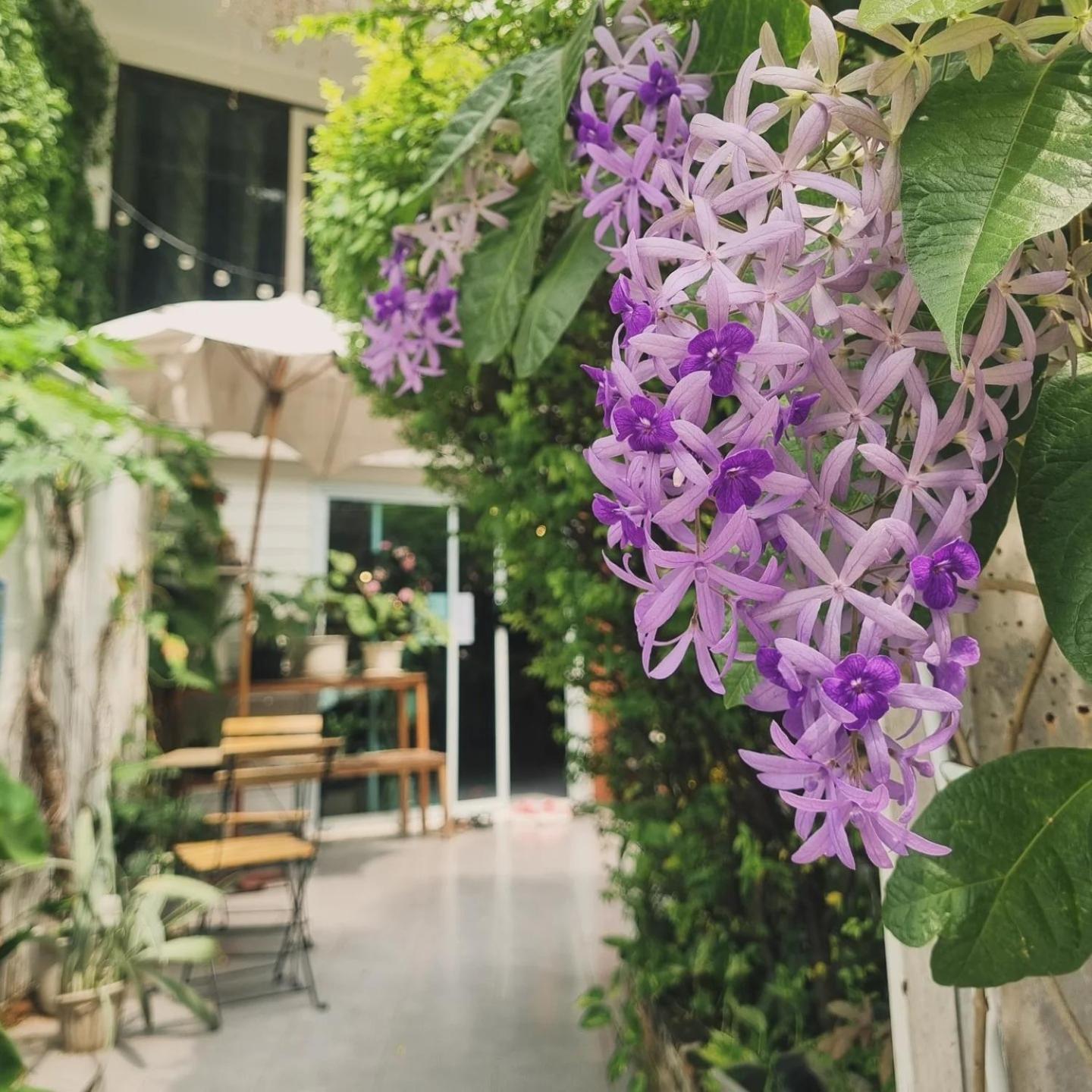 Home16 Sukhumvit16 Банкок Екстериор снимка